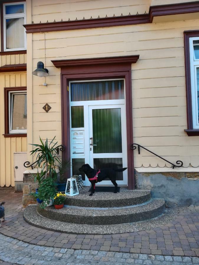Ferienwohnung Zur Alten Post Bad Grund Exterior photo